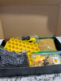 Bee Sensory Play Subscription Box