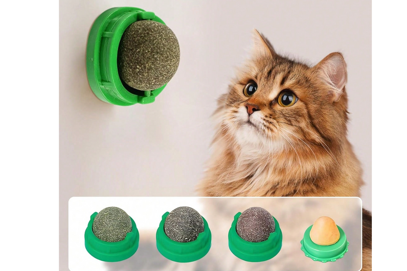         Start with our KITTEN box - then choose from 30 additional box themes for future months!  Modern Cat themed products!