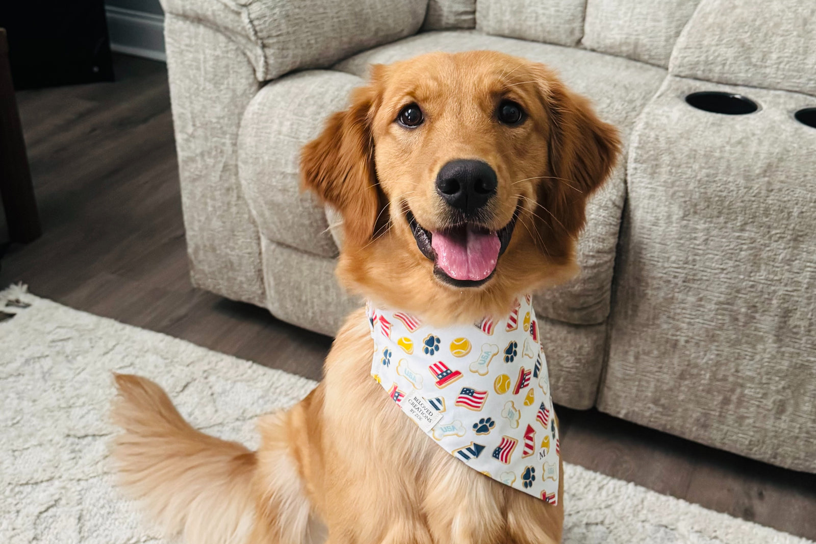 Bandana & Bones (Monthly Subscription)