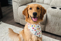 Bandana & Bones (Monthly Subscription)