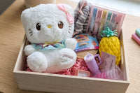 Plush and plus Mystery SCOOPS gift box for girls tweens teens