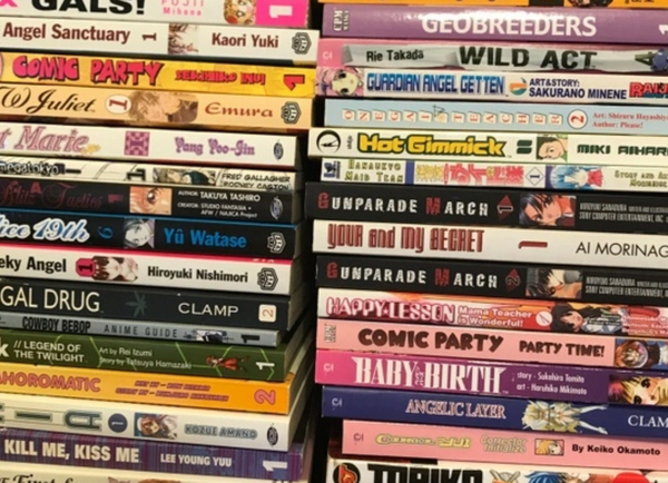 This photo shows examples of different types of manga. Not all manga in the photo is available for the box, but this is a sample.