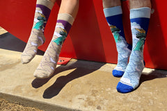 Sock Panda - Two Pairs Socks Per Month (Hers and His Mixed Subscription) - Great for Couples