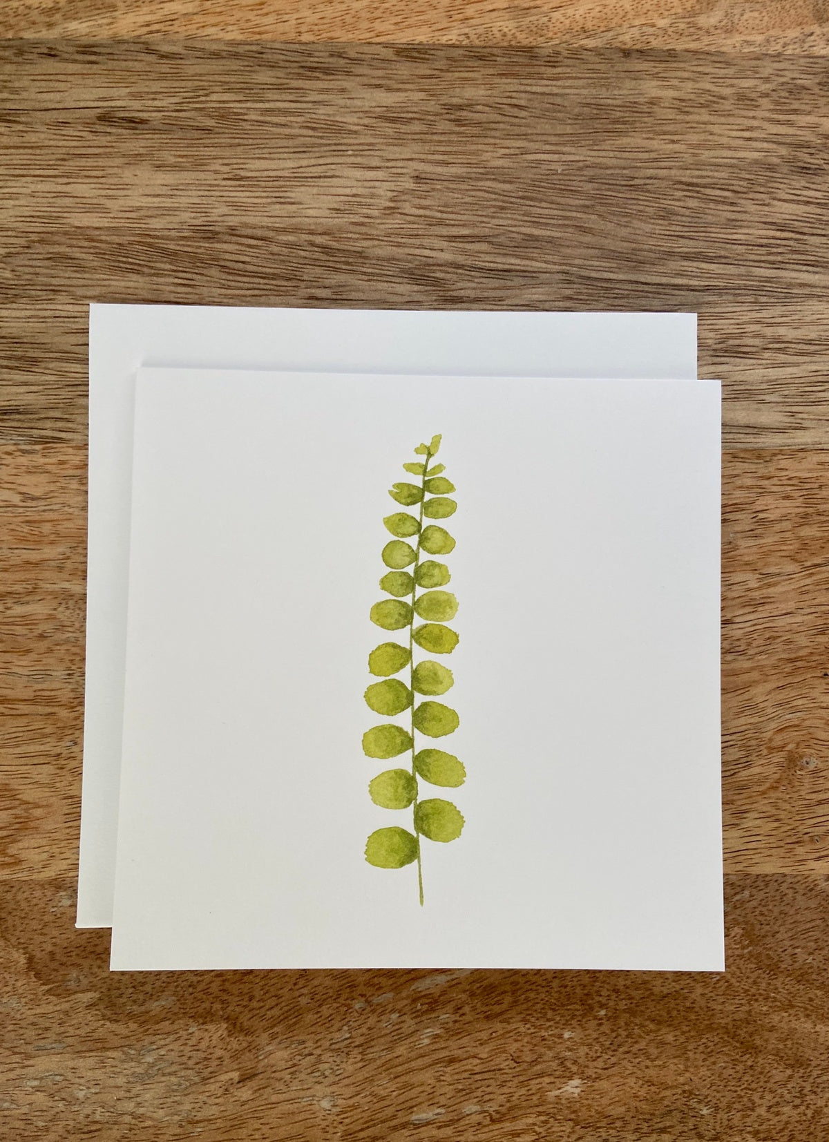 Lemon Butter Plant Any Occasion Card
