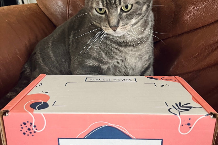 𝐂𝐚𝐭 𝐌𝐨𝐦 𝐌𝐲𝐬𝐭𝐞𝐫𝐲 𝐁𝐨𝐱 (10+ items for cats & their amazing moms!)