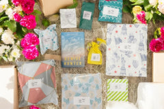 Beyond the Book Club Quarterly Box