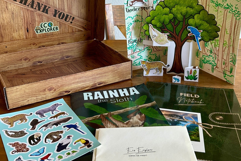 The Eco Explorer field notebook, comic book, sticker sheet, box, envelopes, and paper rainforest diorama spread out on a wooden table.