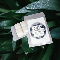 Petrichor Soy Candles and Melts - Warm Rain on Spring Leaves