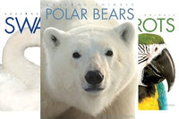 3 Books in each box!! Each book is 24 pages and includes an index, glossary of key words, and links for further reading!