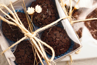 The Brownie Box