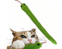 Cat - Are You Kitten Me?