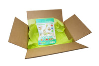 BrainStorm STEM Kit Subscription