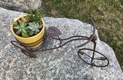 Succulent Bike