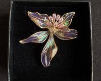 Dreamcloud  Festival Brooch Pin Jewelry Gift Box