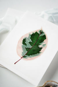 Ficus Ruby Plant Any Occasion Card