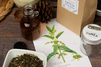 Past Box: Deep Detox