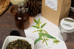 Past Box: Deep Detox