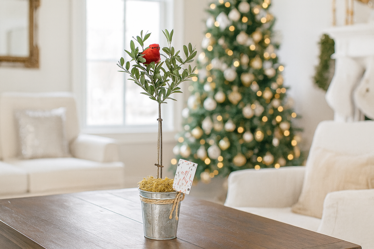 Olive Topiary Tree in Silver Metal Tin with Rope