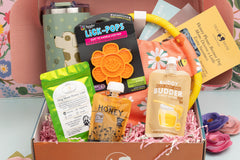 Ultimate Dog Mom Relaxation Box