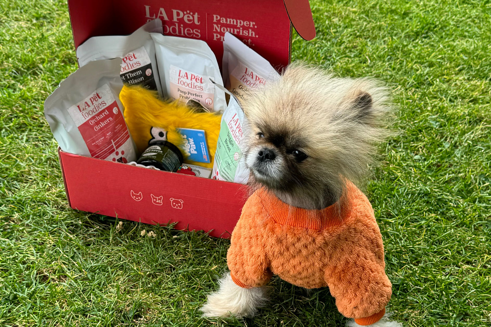 Gourmet Health Plus Box