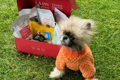 Gourmet Health Plus Box