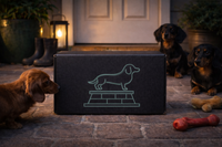 Example Cult of Wiener subscription box showing sample wiener themed items. Boxes ship monthly, with rotating themes each month.