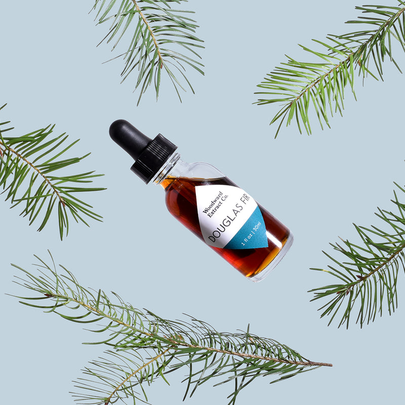 Douglas Fir Extract Douglas Fir Extract