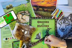Nature's patterns include predator-prey ecosystems, which you represent with art and code. Included is our predator-prey eco-game.