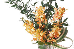 The Fresh Cut Flower of the Month Club