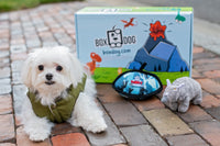 BoxCat Giant Seasonal Cat Subscription Box
