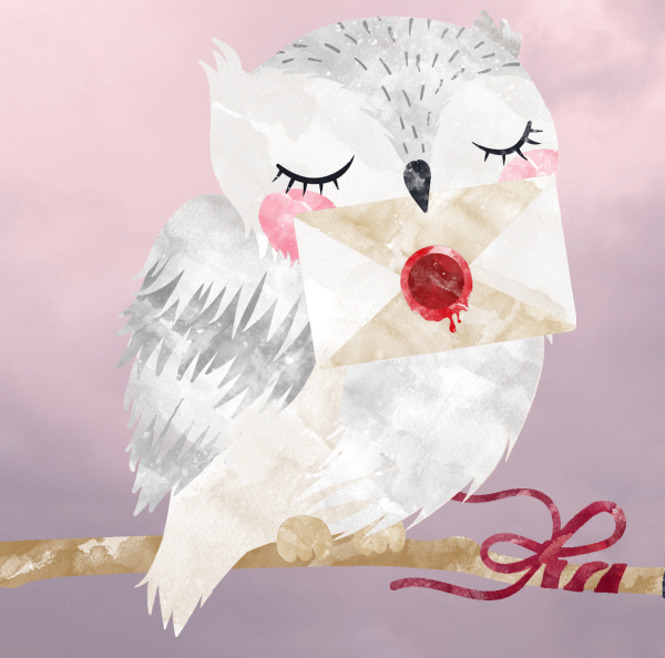Image of Owl and Moon Apothecary Gift Card