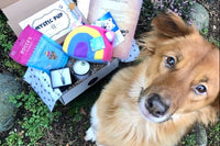 Mystic Pup Box - Bimonthly Plan