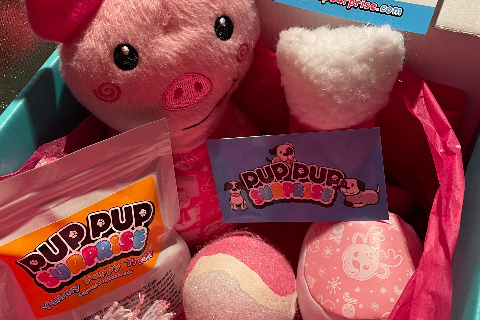 PupPup Surprise! Micro Box Subscription