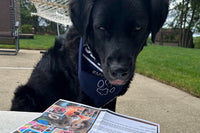 Pal George reading one of the letters he got! George is a pup that gets monthly letters from Snorri. 