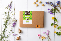 ~ Mud & Bloom Box ~