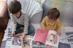 The Little Shu Box - Sibling