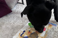 An image of a dog completing an enrichment activity. The dog is licking peanut butter off a canvas to make a painting 