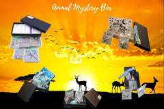 Helping Animals At Risk Animal Mystery Box