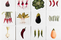 Come Alive Studio Stationary Subscription