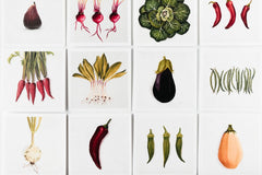 Come Alive Studio Stationary Subscription