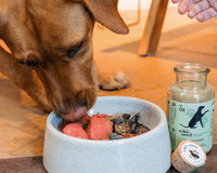 Wild&Seed Nutritional Supplements for your dog