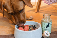 Wild&Seed Nutritional Supplements for your dog