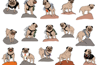 Vinny the Pug's Sticker group #7 contain many images inspired by actual photographs of Vinny climbing boulders in the Sonoran Desert.