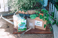 Sprout and Blossom Box