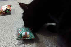 4 Catnip Cat Pillows Delivered to Your Door Every Month