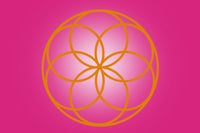My Soul Care Box: (re)Connection Series
