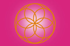 My Soul Care Box: (re)Connection Series