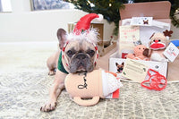 Premium Frenchie Box