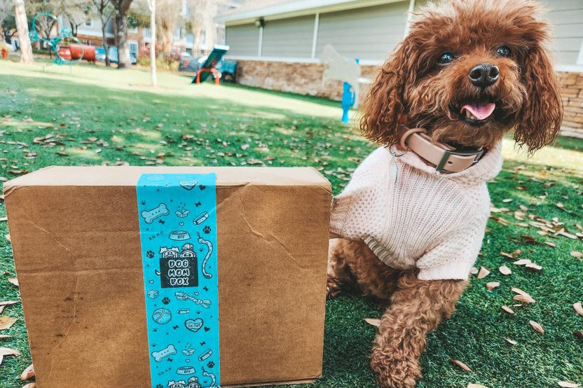 Dog Mom Box