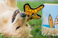BoxCat Giant Seasonal Cat Subscription Box